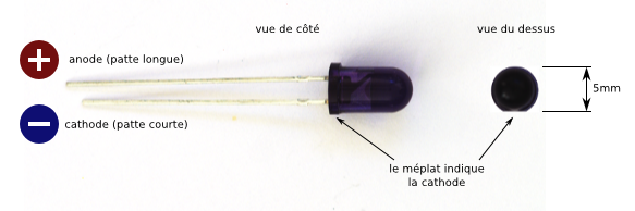 Led anode cathode.png