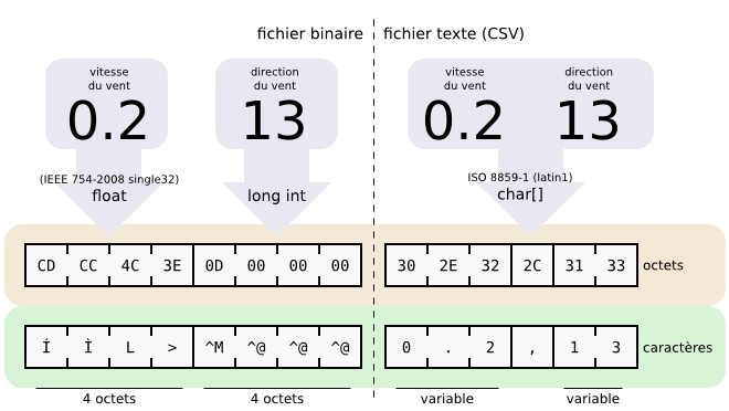 Binary or text file format.png